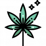 Marijuana Flower Icon